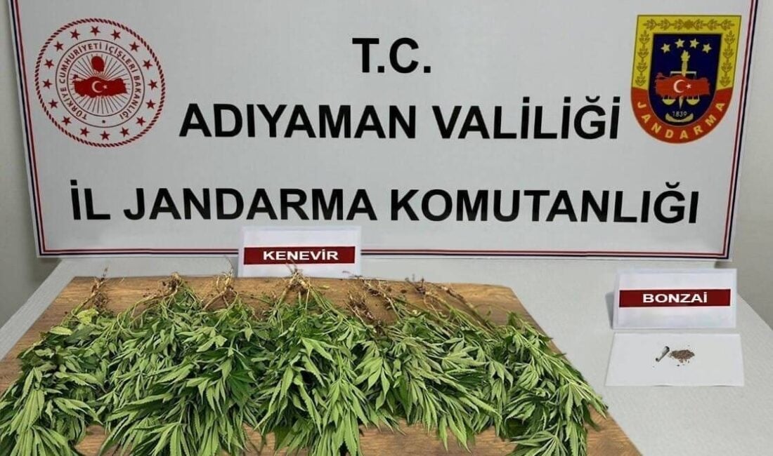 Adıyaman İl Jandarma Komutanlığı, yaptığı uyuşturucu denetimlerinde 23 kök kenevir