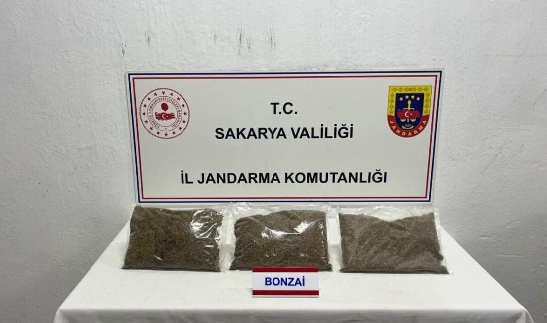 Sakarya’nın Adapazarı ilçesinde jandarma, uyuşturucu operasyonu düzenleyerek 64 yaşındaki V.Ş.'yi
