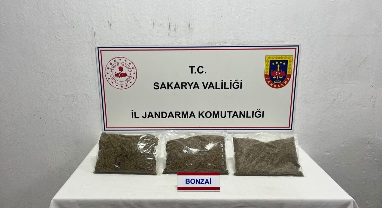 Sakarya’nın Adapazarı ilçesinde jandarma, uyuşturucu operasyonu düzenleyerek 64 yaşındaki V.Ş.'yi