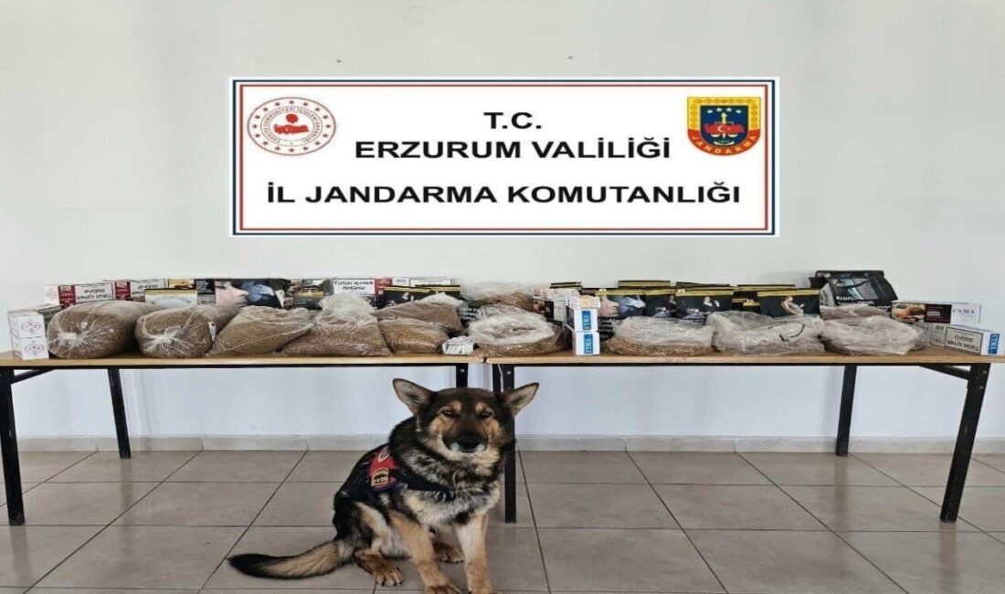 Erzurum'da jandarma, kaçakçılıkla mücadele kapsamında düzenlediği operasyonda 12 şüpheliye işlem