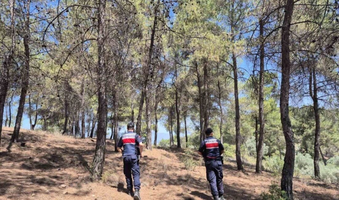 Aydın İl Jandarma Komutanlığı, artan yangın riski nedeniyle ormanlık alanlarda