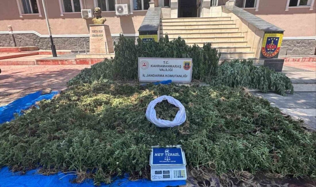 Kahramanmaraş’ta yapılan uyuşturucu operasyonunda, yasadışı kenevir yetiştiren S.K. (48), A.Ü.