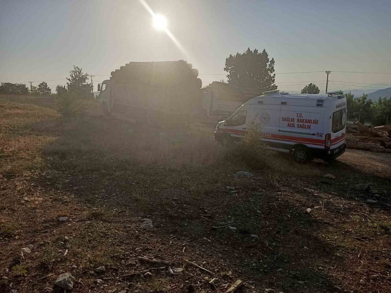 Denizli'nin Çameli ilçesinde, tomrukları indiren Bünyamin Kaplan (57), düşen tomrukların
