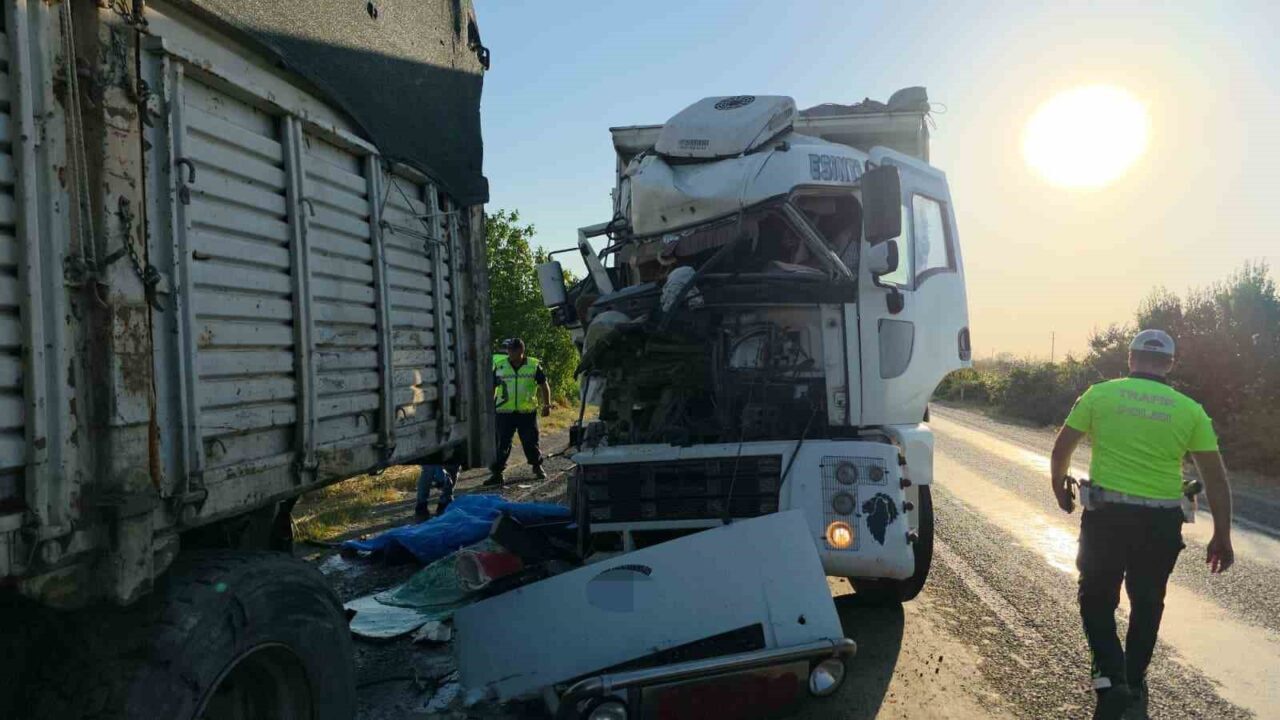 İzmir’in Tire ilçesinde, kamyonundaki arızayı kontrol eden 42 yaşındaki Murat