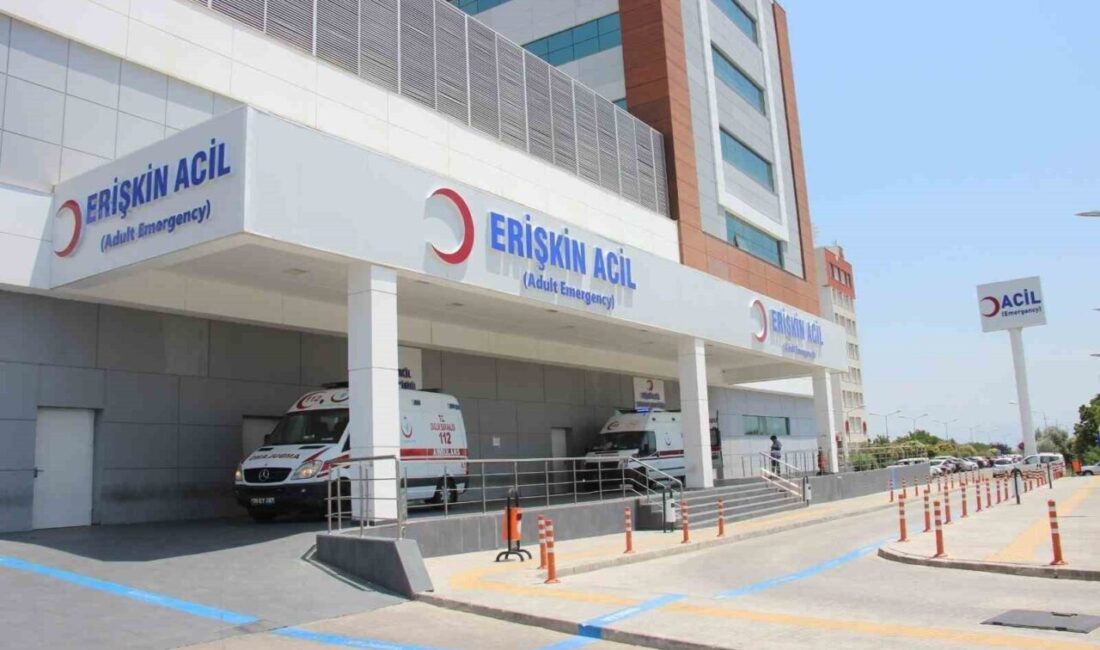 Aydın'ın EFeler ilçesindeki Pınarbaşı Mesire Alanı'nda kar maskeli bir kişi,