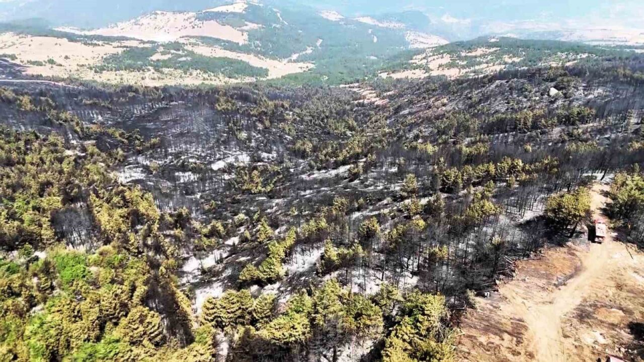 Karabük'te başlayan orman yangını, rüzgarın etkisiyle hızla yayıldı ve geniş