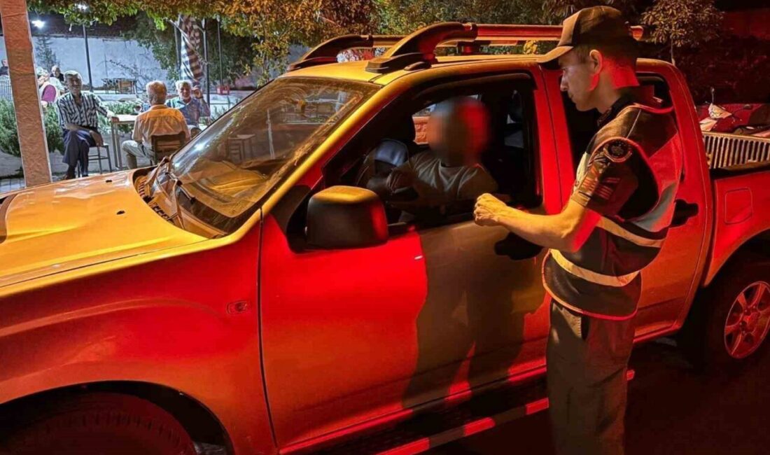 Aydın'ın Karacasu ilçesinde jandarma, Yenice ve Alemler Mahalleleri'nde gerçekleştirdiği sıcak