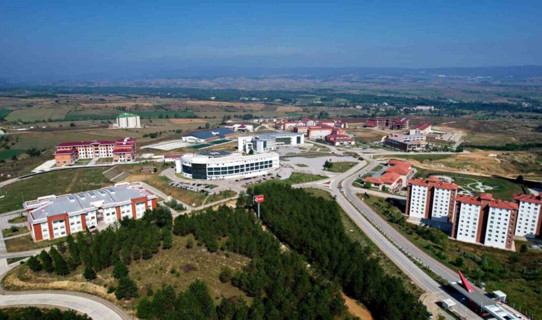 Kastamonu Üniversitesi'nden Doç. Dr. Ahmet Daşdemir'in "Öngerilmeli Manyeto-Elektro-Elastik Kompozit Malzemelerin