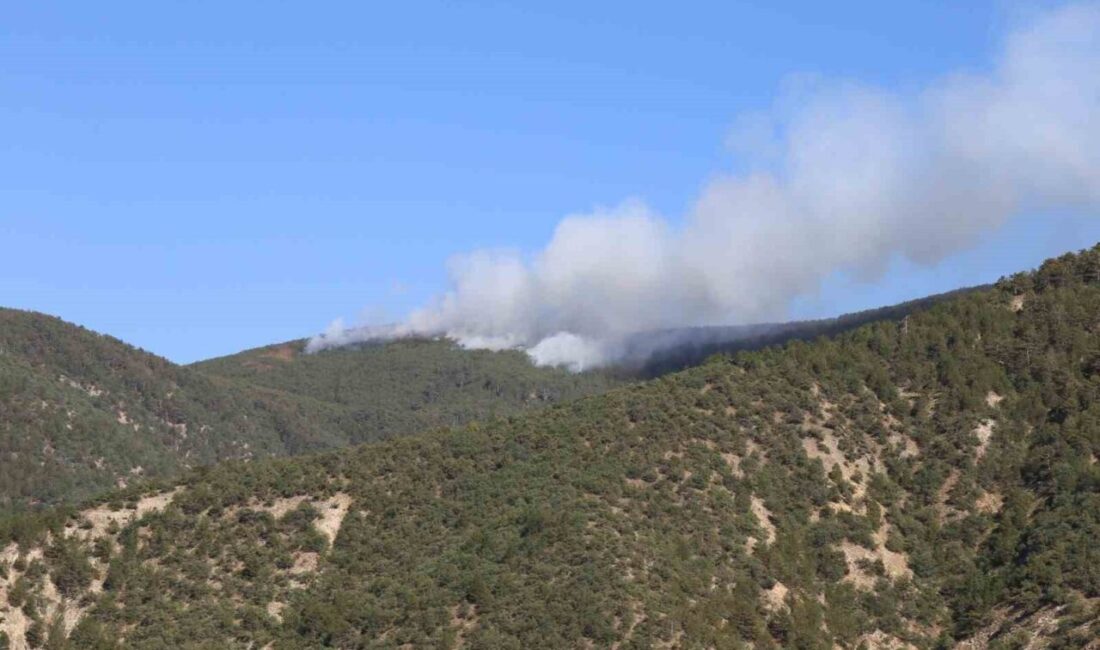 Kastamonu'nun Tosya ilçesi yakınlarındaki Yukarıkayı köyü ormanlık alanında çıkan yangına,