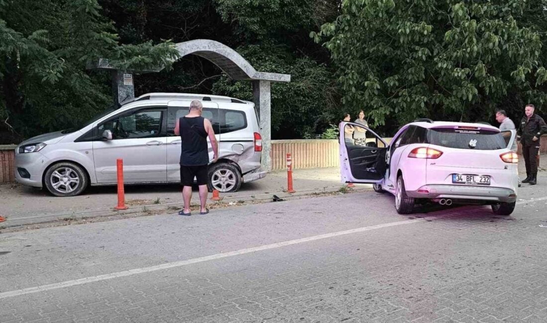 Kastamonu'nun Cide ilçesinde Murat O.'nun kullandığı otomobil, park halindeki hafif