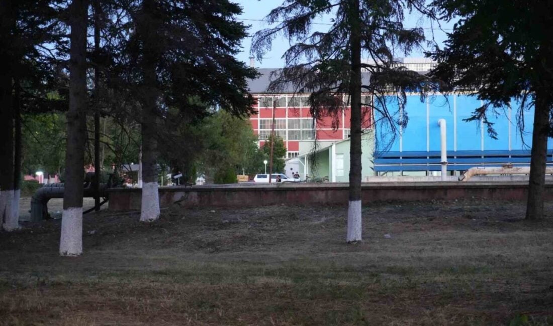Kastamonu'daki bir şeker fabrikasında özel güvenlik görevlileri A.E. ve S.D.,