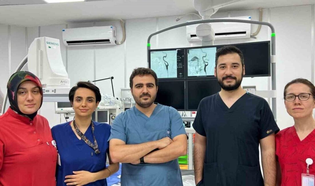 Kastamonu Eğitim ve Araştırma Hastanesi Girişimsel Radyoloji Ünitesi, beyne giden