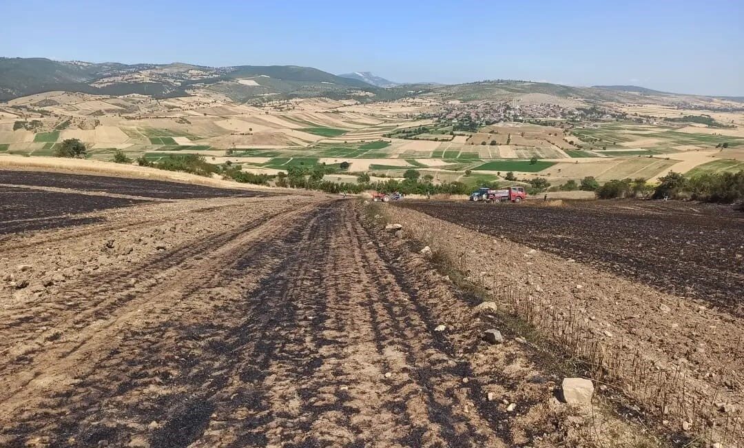Samsun Vezirköprü Ziraat Odası Başkanı Aslan Kaya, hasat dönemi boyunca