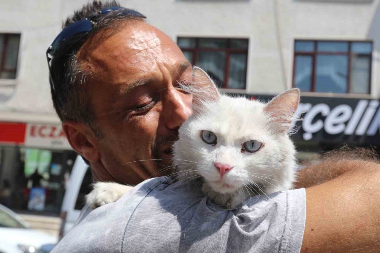 Kocaeli'nin Gölcük ilçesinde Zülfi Satar, 22 Haziran'da kaybolan sağır kedisi