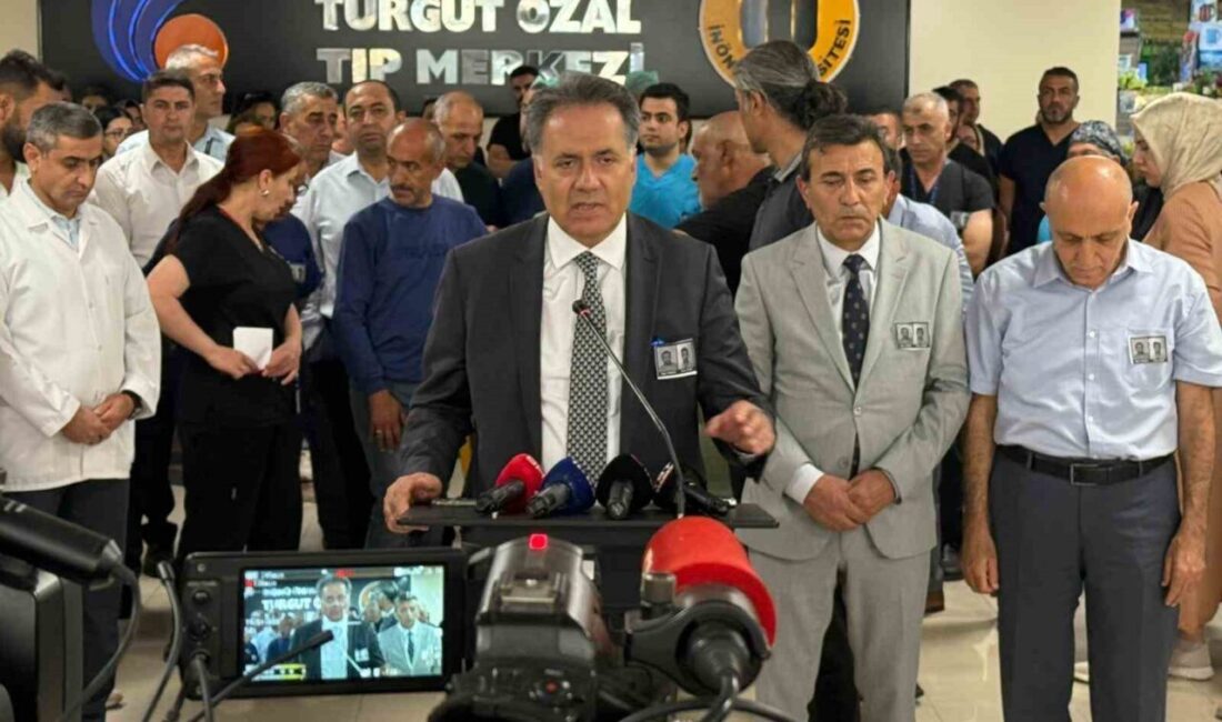 Malatya'da elektrikli Tesla'nın kazasında hayatını kaybeden hemşireler Ozan Uçar ve