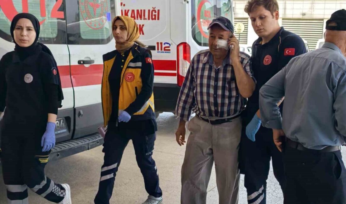 Bursa İnegöl'de 15 yaşındaki Hasan A., bahçıvan 61 yaşındaki Mustafa