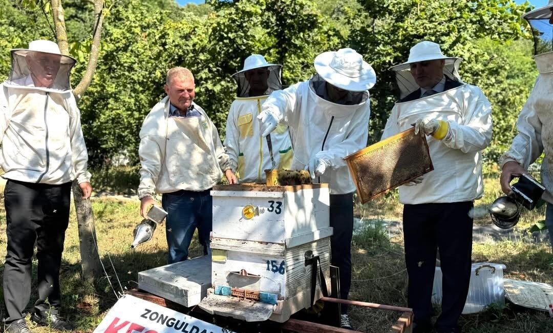 Çaycuma’da kestane balı hasadı, Kaymakam Adem Kaya’nın katılımıyla gerçekleşti. Üretici