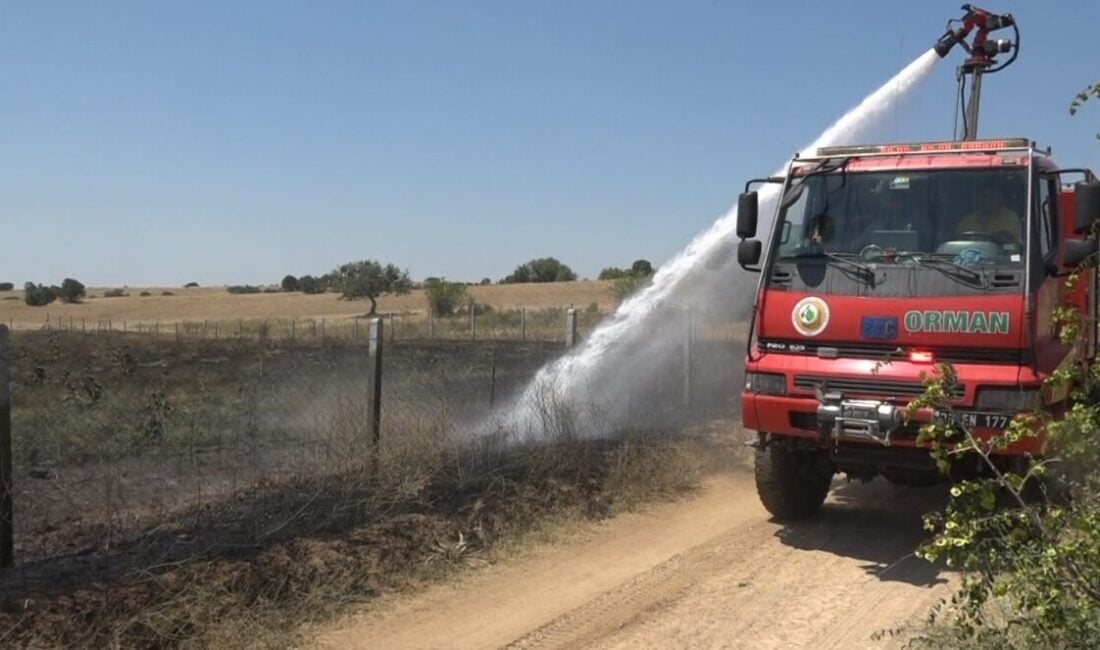 Kırklareli'nin Karahamza köyünde çıkan yangında 20 dekar ceviz bahçesi zarar