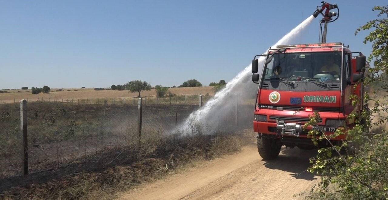 Kırklareli'nin Karahamza köyünde çıkan yangında 20 dekar ceviz bahçesi zarar