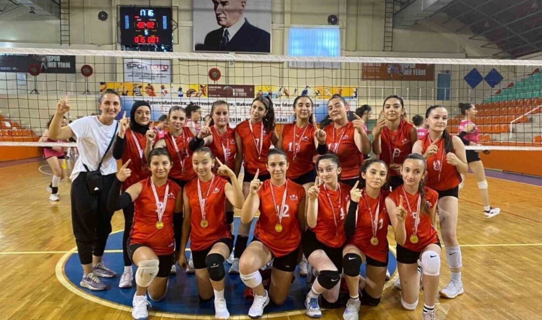 Düzce, Çorum'daki Analig Voleybol Grup Müsabakaları'nda kız takımı altın, erkek