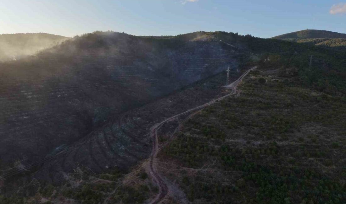 Kocaeli'nin Derince ilçesinde, Yenikent Mahallesi'nde çıkan orman yangını, çok sayıda