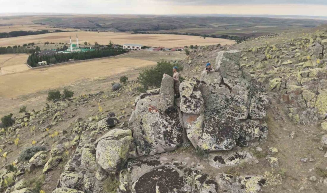 Yozgat’ta tarlaları yakan N.S. isimli şüpheli, Sorgun ve Sarıkaya'da düzenlenen