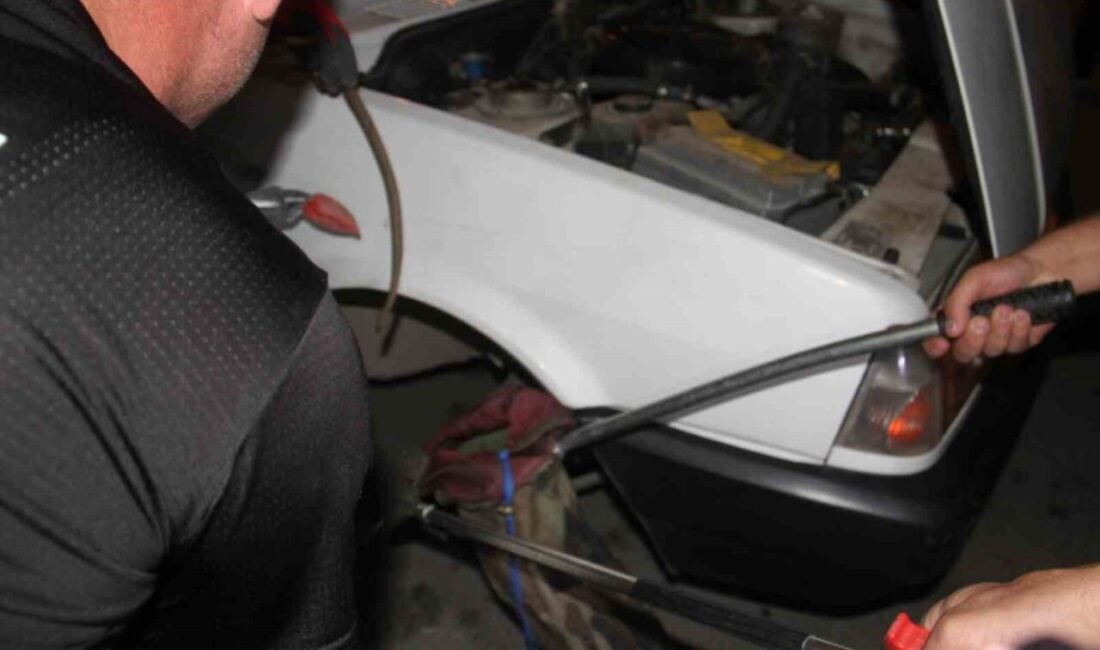 Konya'nın Beyşehir ilçesinde park halindeki bir otomobile sıkışan yılan, itfaiye