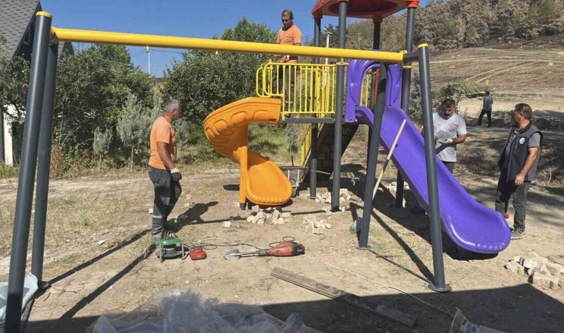 Gölpazarı'nın Köprücek Köyü'nde orman yangını sonrası iyileştirme çalışmaları devam ediyor.