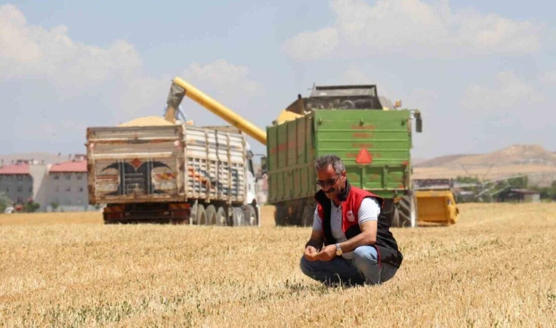 Van’ın Tuşba ilçesinde aşırı kuraklık, çiftçileri zor durumda bıraktı. Yusuf