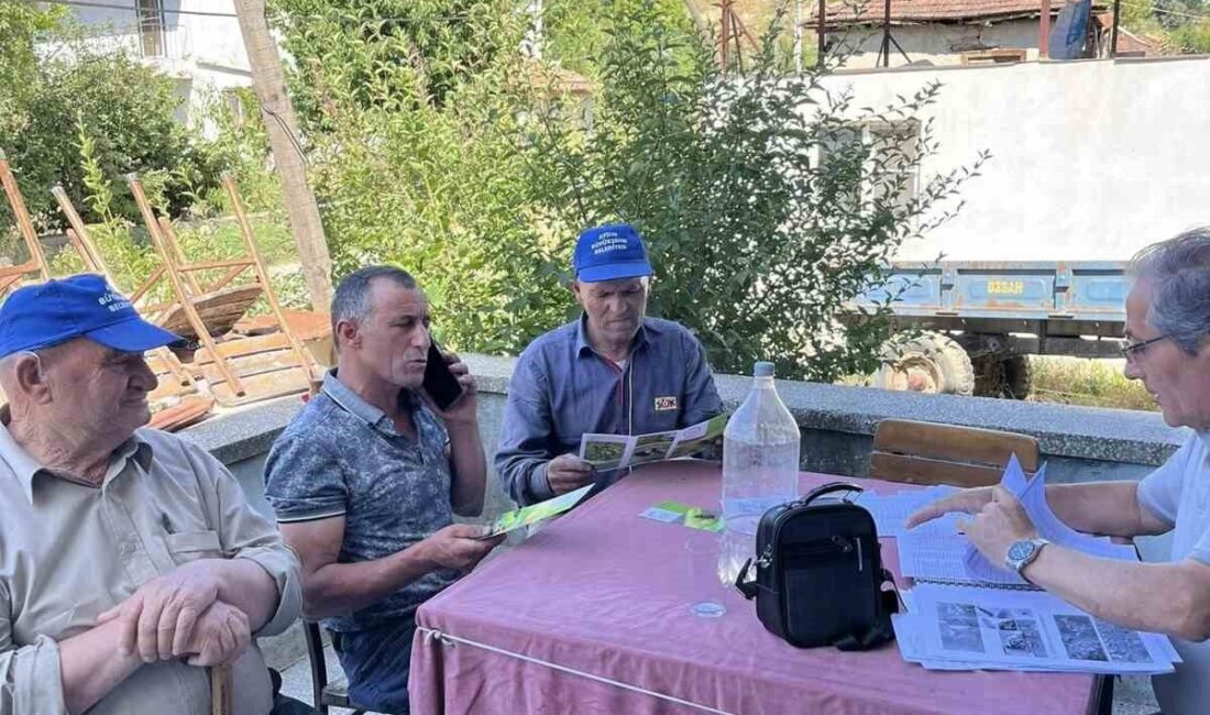 Kuyucak İlçe Tarım ve Orman Müdürlüğü, domates üretim alanlarını denetleyerek