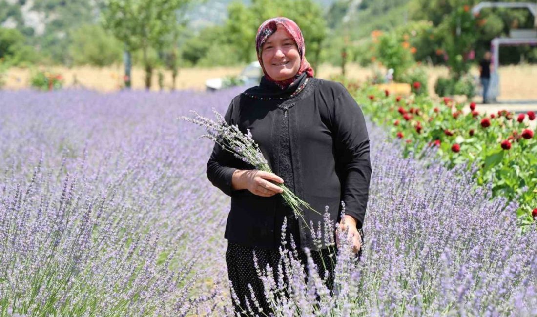 Adana'nın Feke ilçesinde, kadın girişimciler kırsal kalkınma projesi kapsamında kullanılmayan