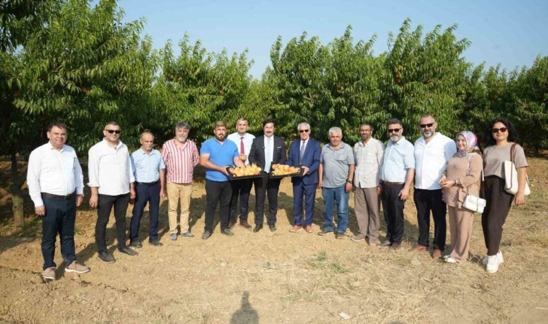 Libya ile Yenişehir arasında tarım ürünleri ihracatı için anlaşmalar yapılma