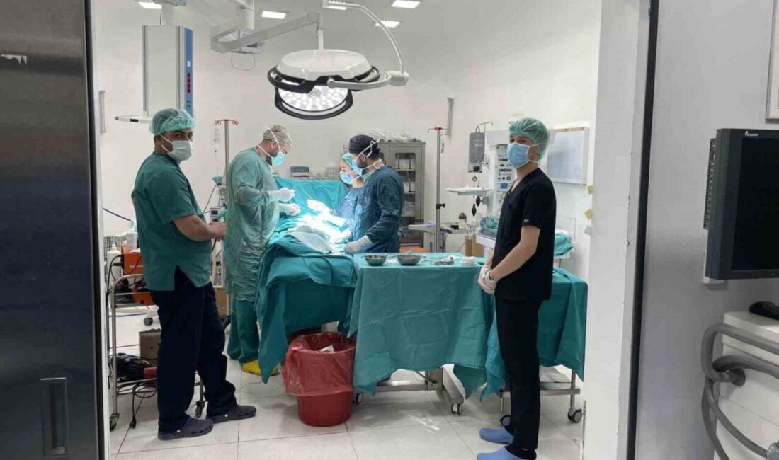 Muş'un Malazgirt Devlet Hastanesi'nde Üroloji Uzmanı Dr. İbrahim Olğun, başarılı