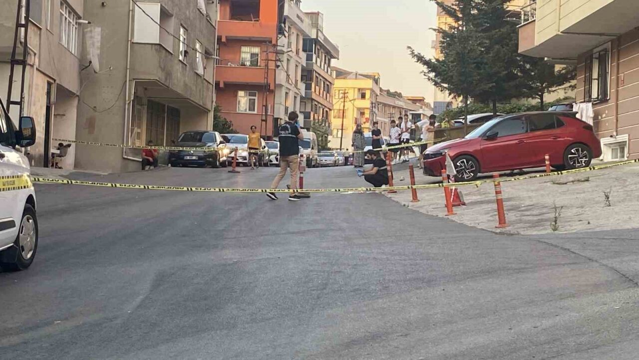Maltepe'de Batuhan Y. kontrolündeki kamyonet, park halindeki araca çarparak kaçtıktan