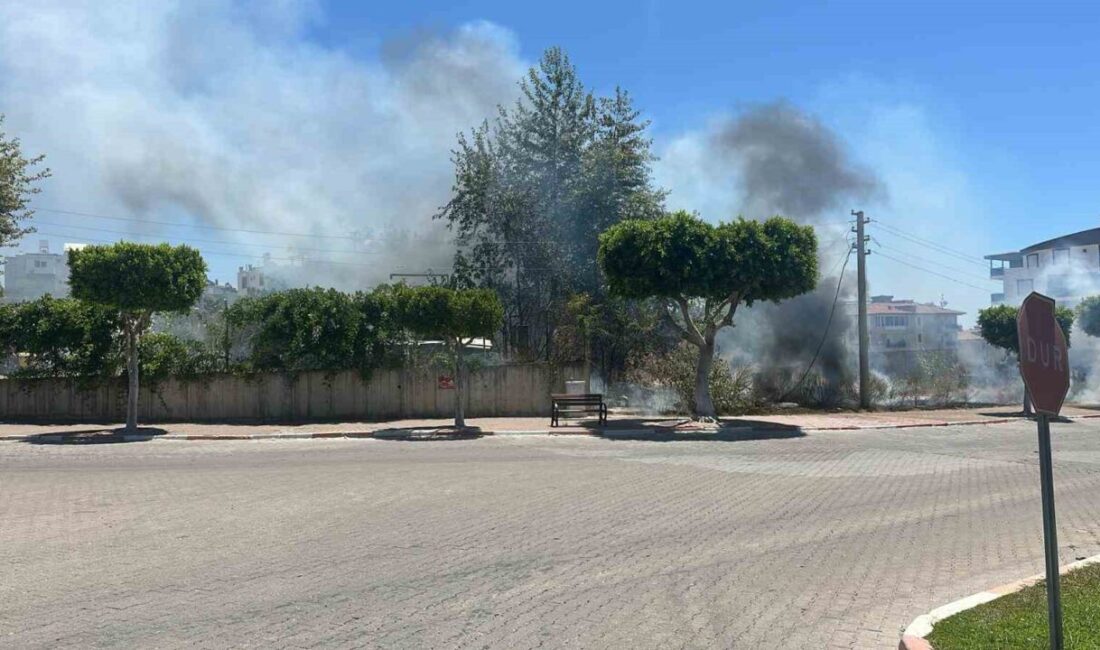 Antalya'nın Manavgat ilçesinde çalılık alanda çıkan yangın, itfaiye ekiplerinin hızlı