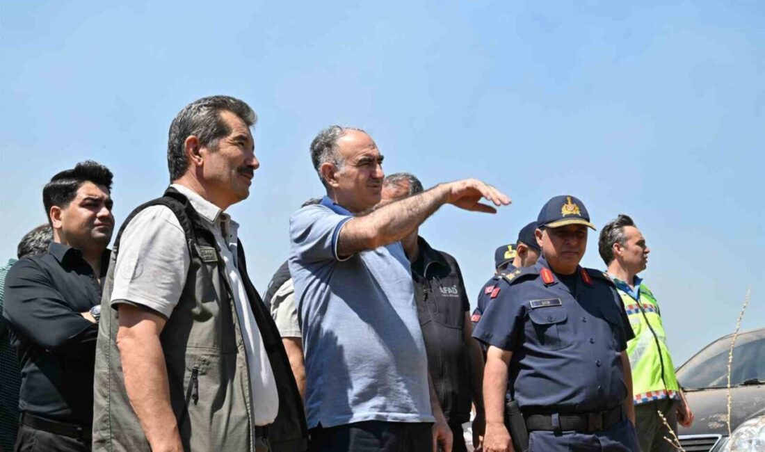 Manisa'daki 4 bölgede süren orman yangınlarını kontrol altına almak için