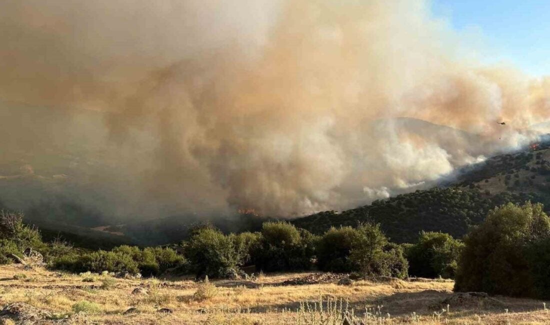 Manisa'nın Sarıgöl ilçesinde, Ziyanlar Mahallesi'ndeki ormanlık alanda çıkan yangın, rüzgar