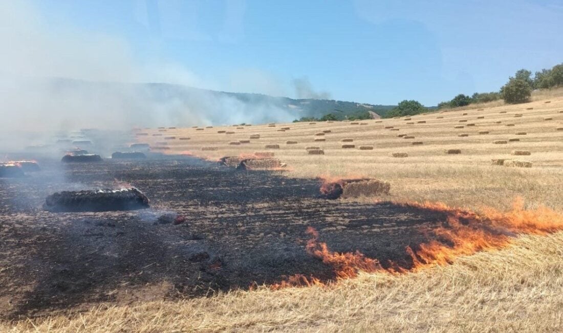 Balıkesir'in Manyas ilçesinde Çakırca Mahallesi'nde çıkan yangın, itfaiye ve Orman