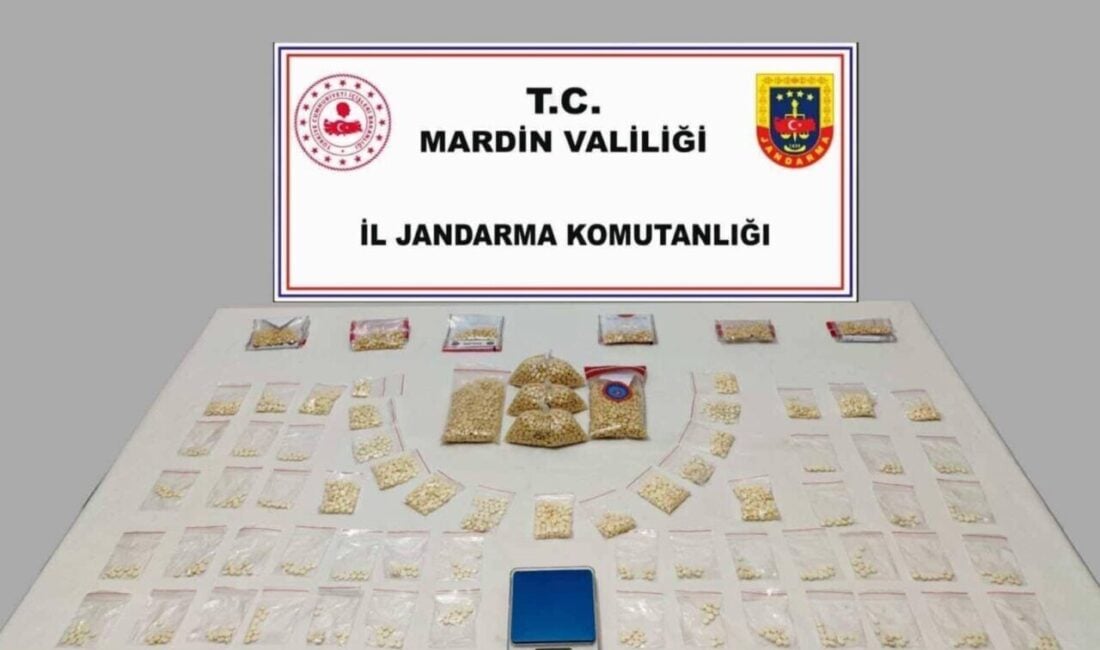 Mardin'in Kızıltepe ilçesinde jandarma, düzenlediği uyuşturucu operasyonunda 11 bin 340