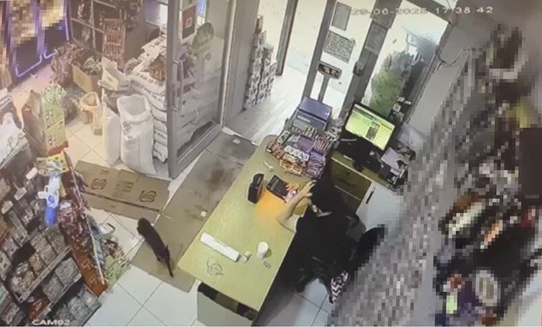 Artvin'in Hopa ilçesinde Sinan Akbıyık'ın işletmeciliğini yaptığı markette, bir kedi