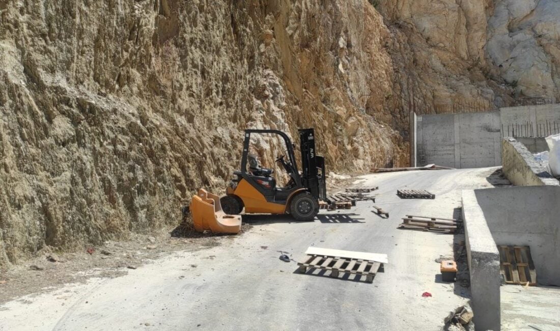 Muğla'nın Milas ilçesindeki Organize Sanayi Bölgesi'nde, 22 yaşındaki Somali uyruklu