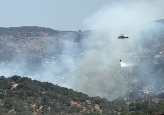 Muğla'nın Milas ilçesi Meşelik bölgesinde bir ziraat alanında çıkan yangına,