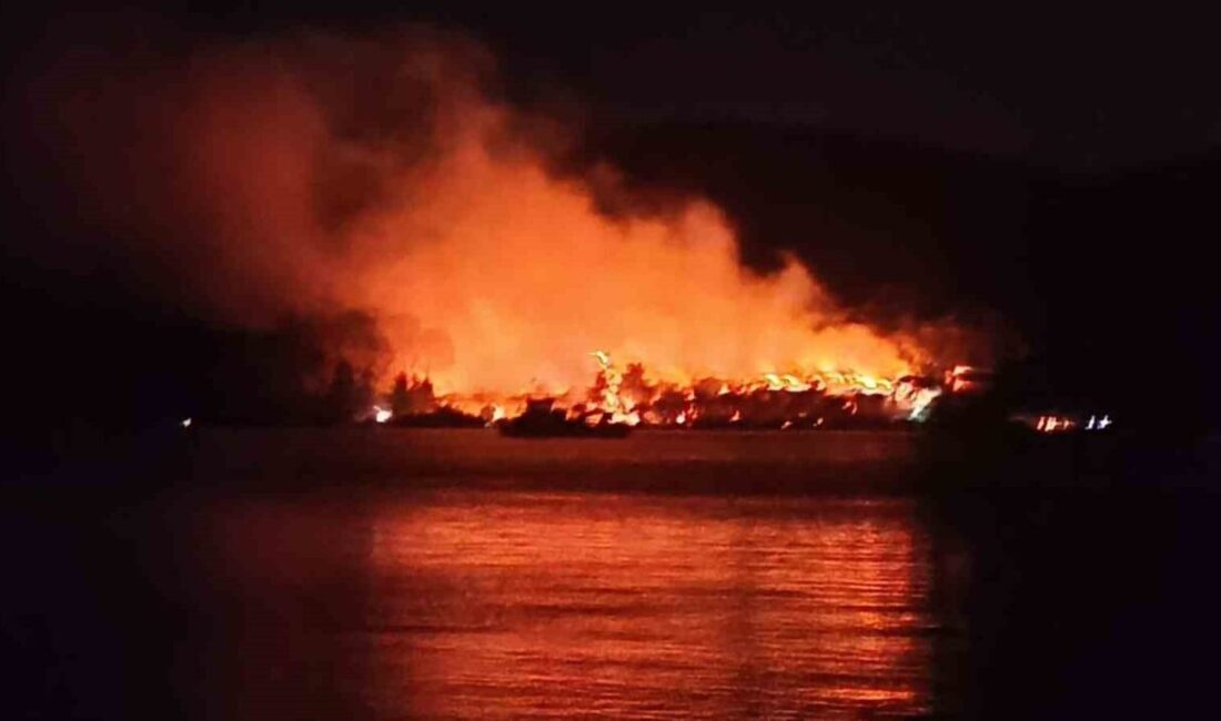 Muğla'nın Milas ilçesindeki Kazıklı Mahallesi'nde bir trafodan çıkan yangın, ormana