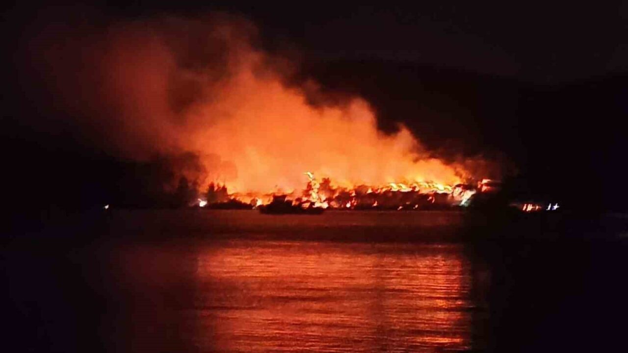 Muğla'nın Milas ilçesindeki Kazıklı Mahallesi'nde bir trafodan çıkan yangın, ormana