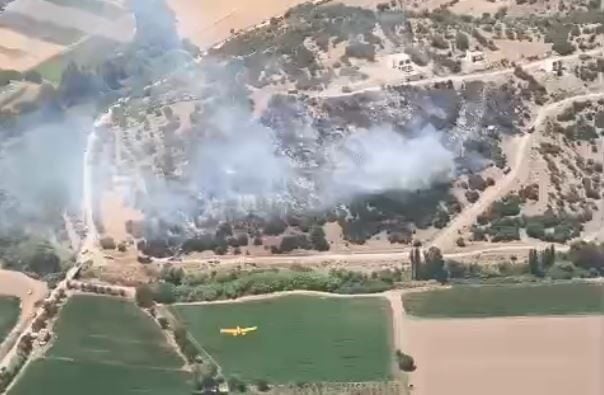 Muğla'nın Milas ilçesinde ziraat alanında çıkan yangın, vatandaşların ihbarı sonrası