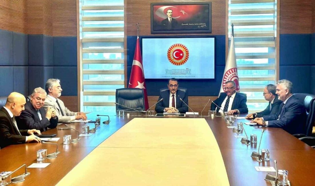 AK Parti Eskişehir Milletvekili Fatih Dönmez, Karadeniz Ekonomik İşbirliği Parlamenter
