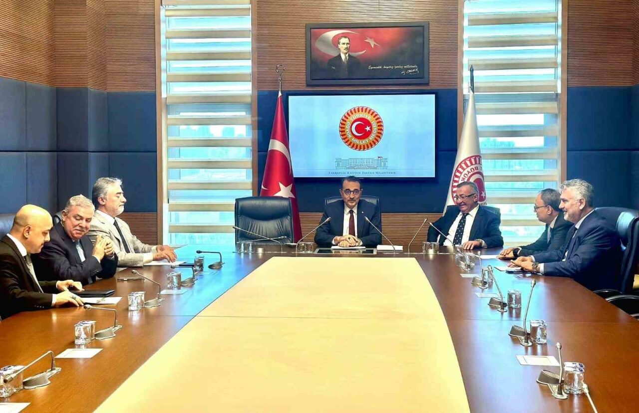 AK Parti Eskişehir Milletvekili Fatih Dönmez, Karadeniz Ekonomik İşbirliği Parlamenter