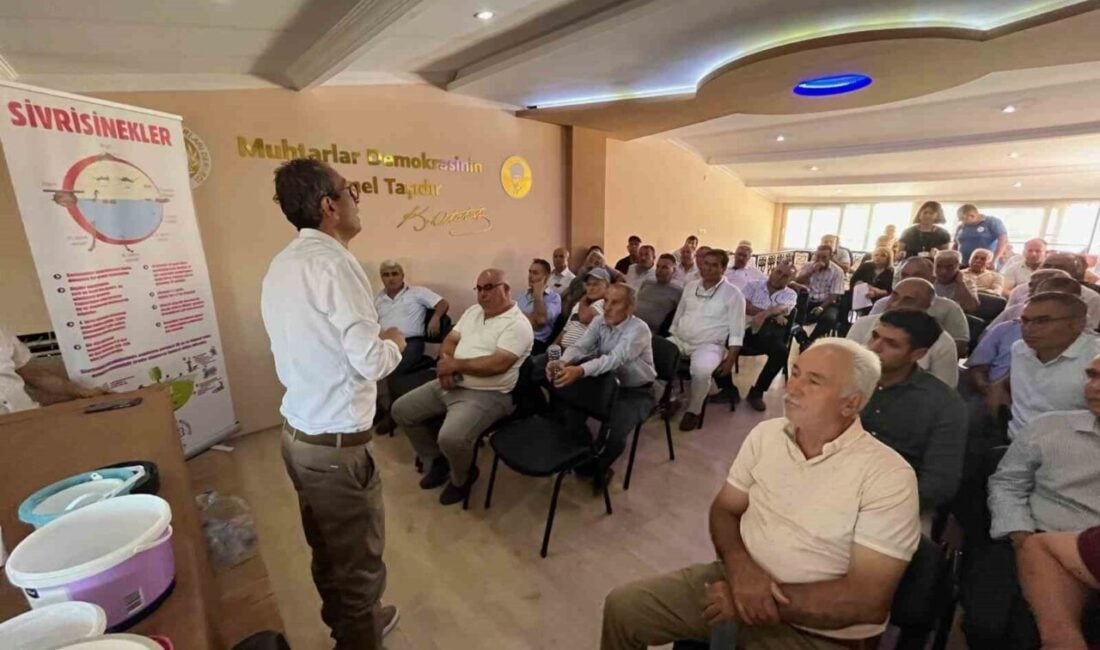 Muğla Büyükşehir Belediyesi, yaz aylarında artan vektörlerle, yani sivrisinek ve