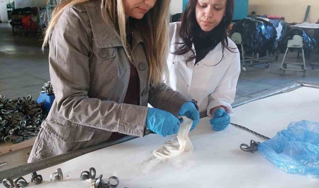 Ege Üniversitesi'nden Prof. Dr. Elif Eser Eke Bayramoğlu, dünyanın ilk