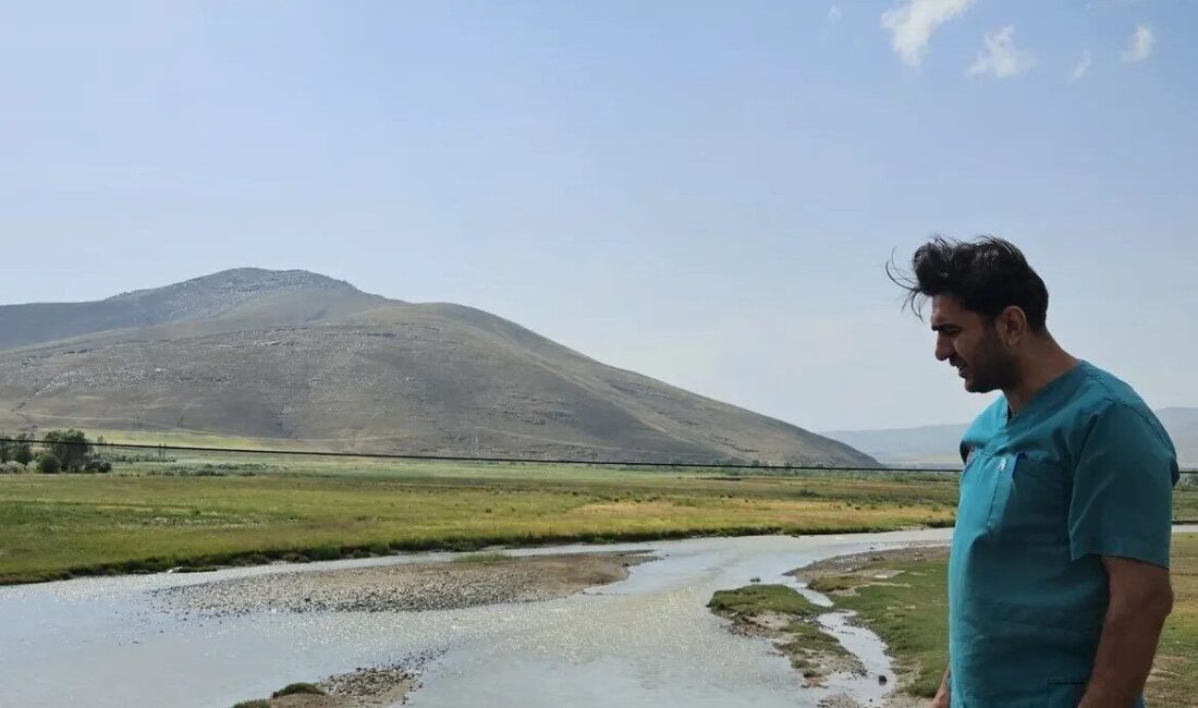 Ağrı'nın Diyadin İlçe Tarım ve Orman Müdürlüğü, Murat Nehri'nde su